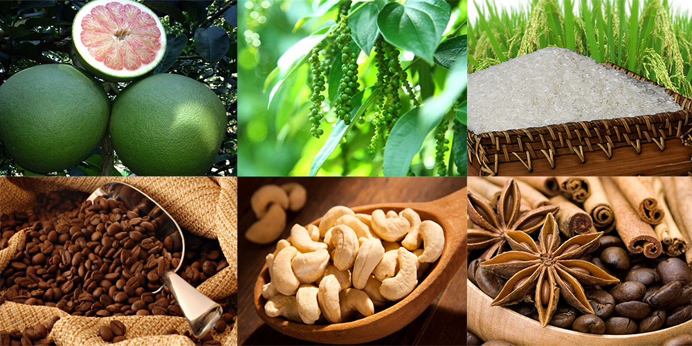 Khai thông thị trường, tăng xuất khẩu nông lâm thủy sản